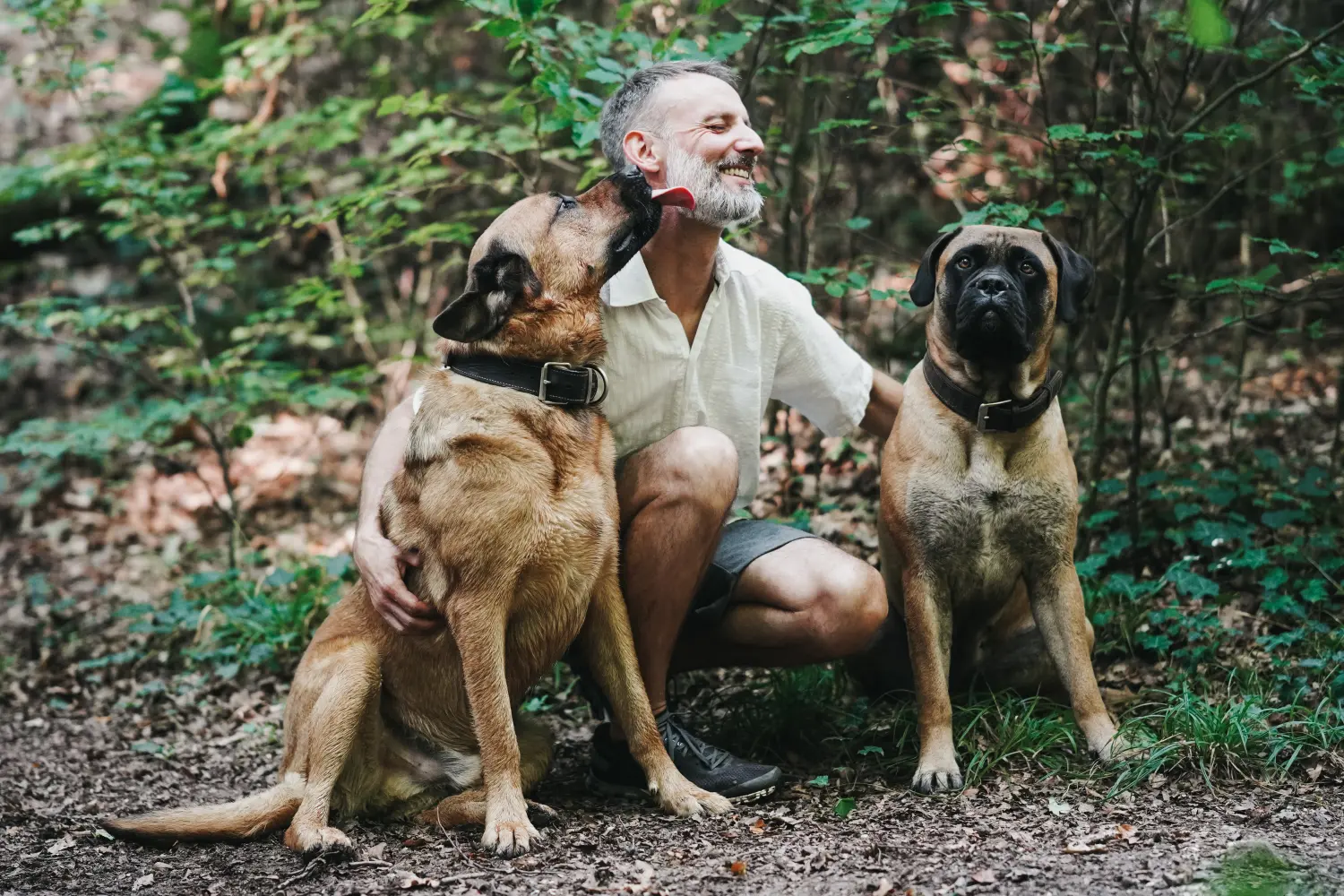 Therapiehundeausbildung