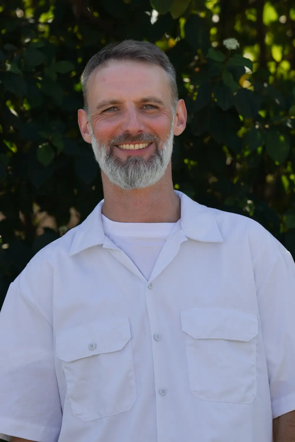 Therapiehundeausbildung