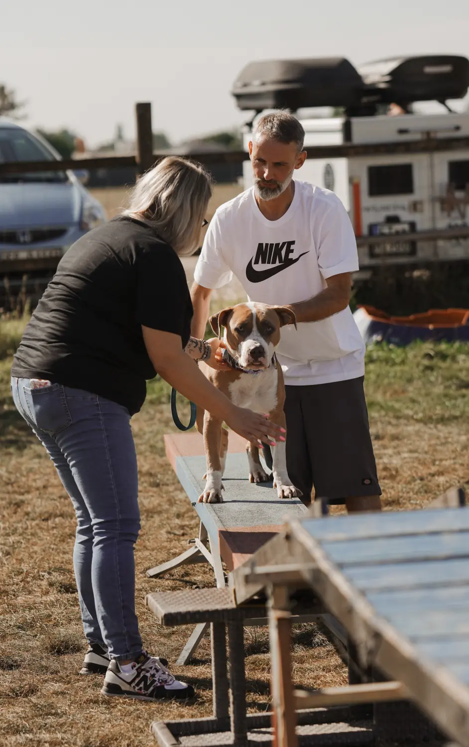 Therapiehundeausbildung