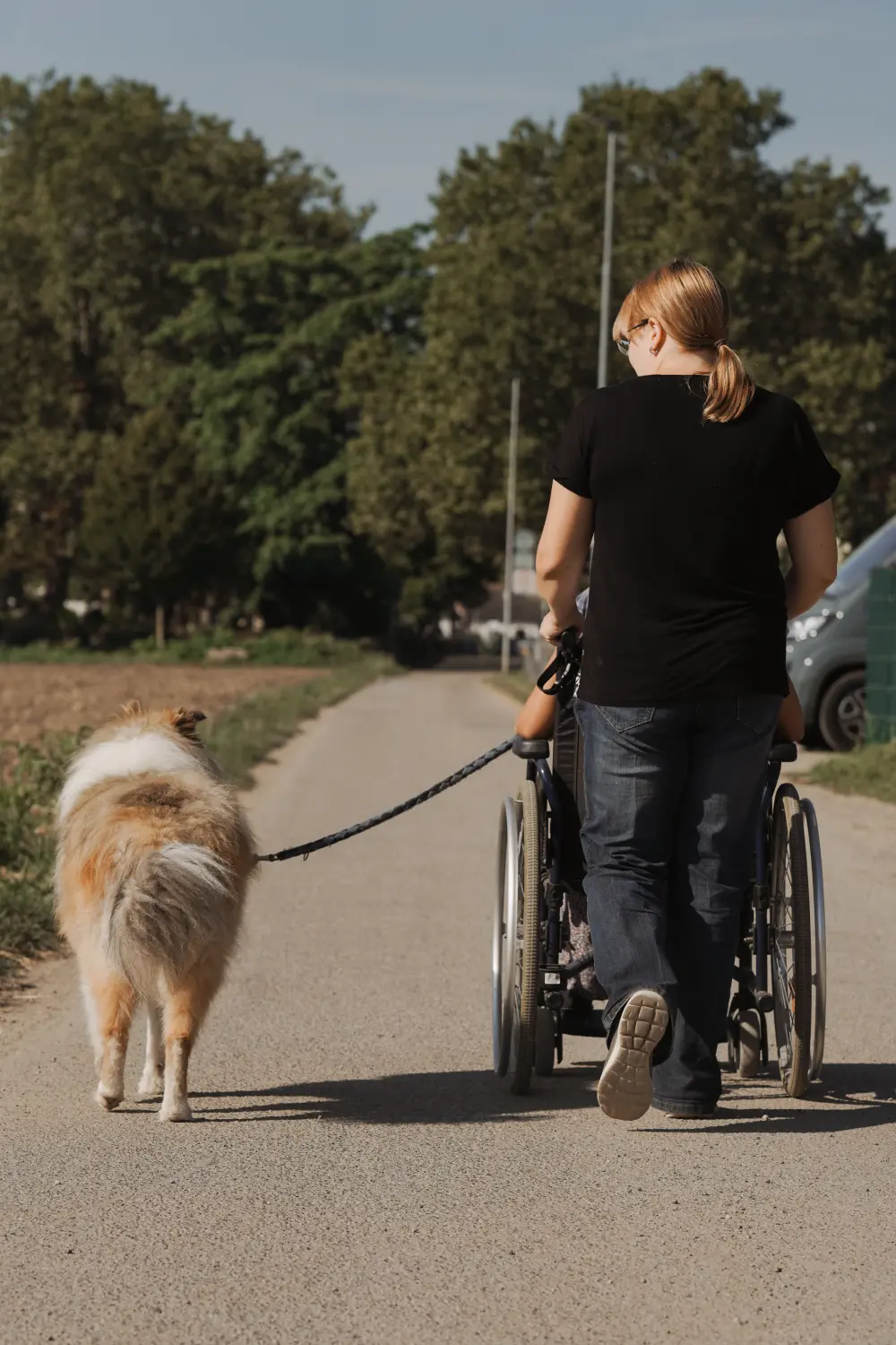 Schulhundeausbildung