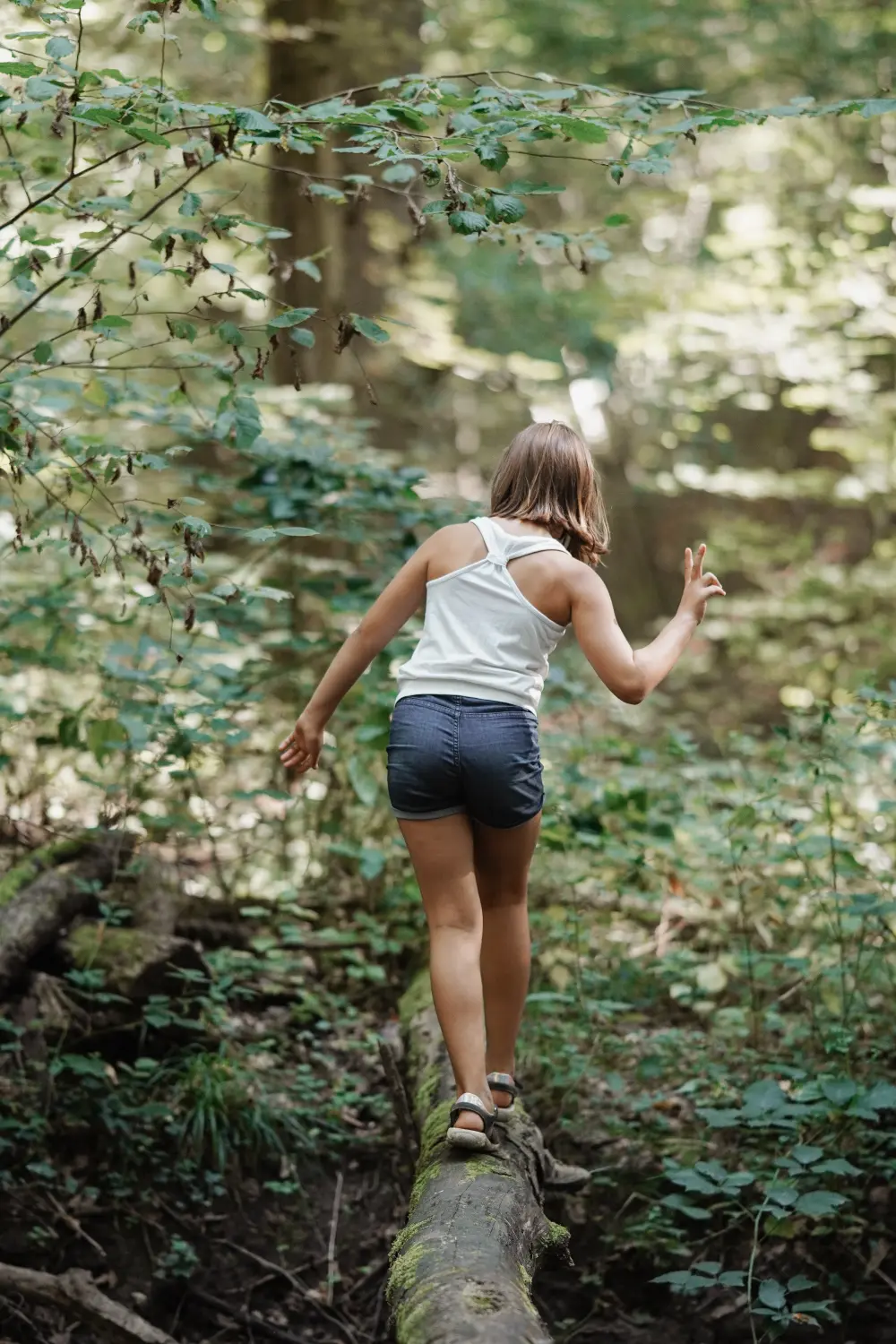 Schulhundeausbildung Rheinland-Pfalz, Therapiehundeausbildung Rheinland-Pfalz, Coaching & Supervision für Hund-Mensch, Hundeschule Westheim / Frankenthal