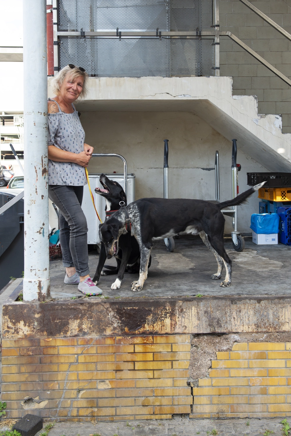 Schulhundeausbildung