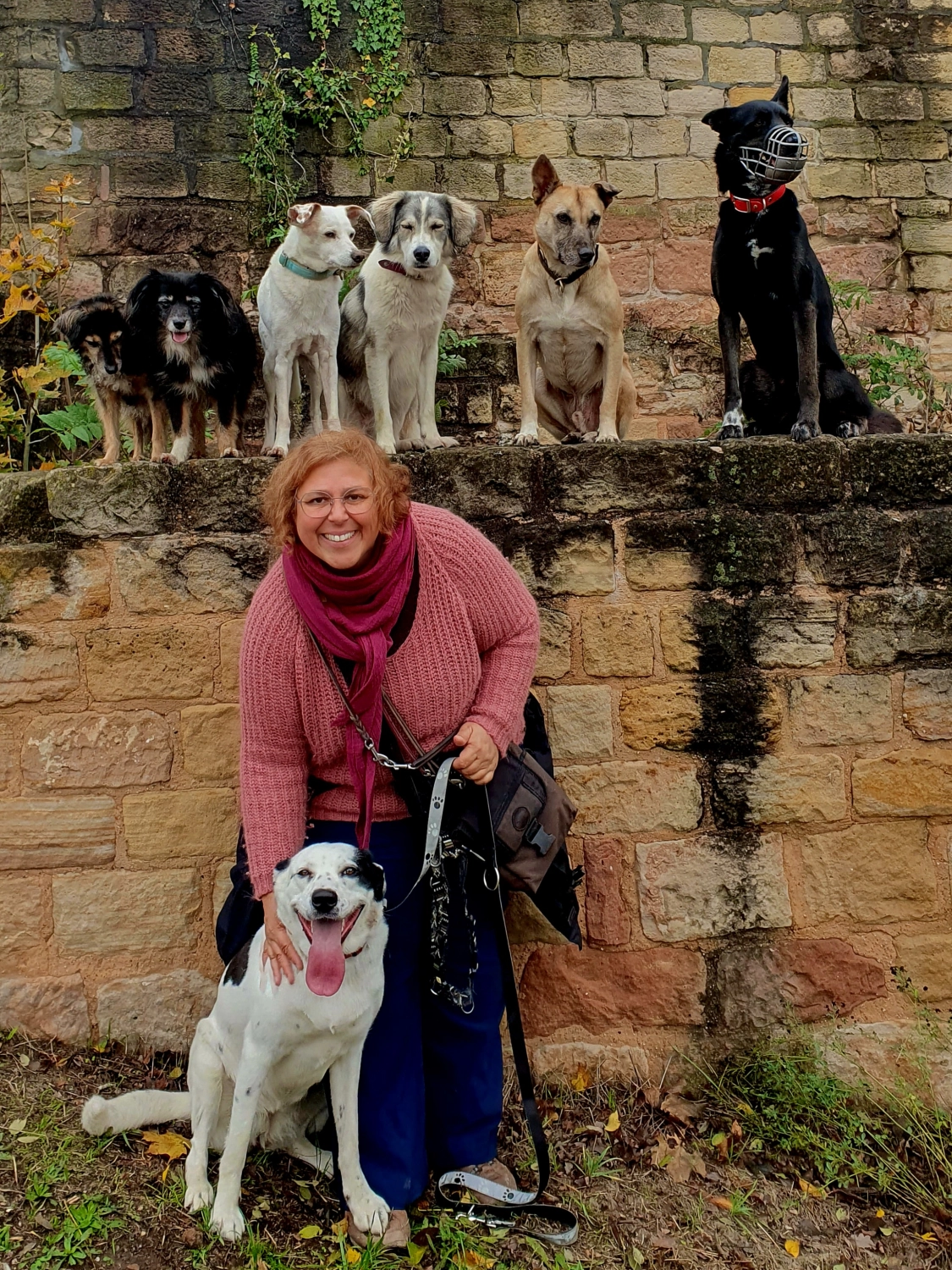 Therapiehundeausbildung