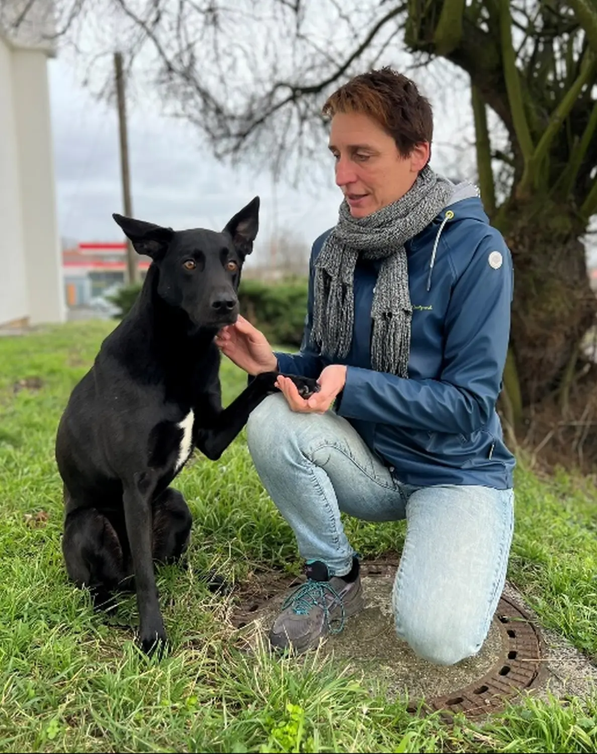 Therapiehundeausbildung